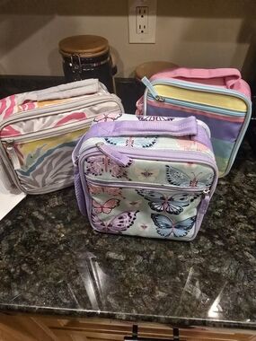 Pottery BARN Insulated Lunch Bags